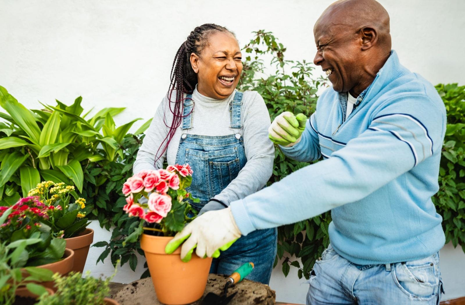 seniors laughing while potting flowers